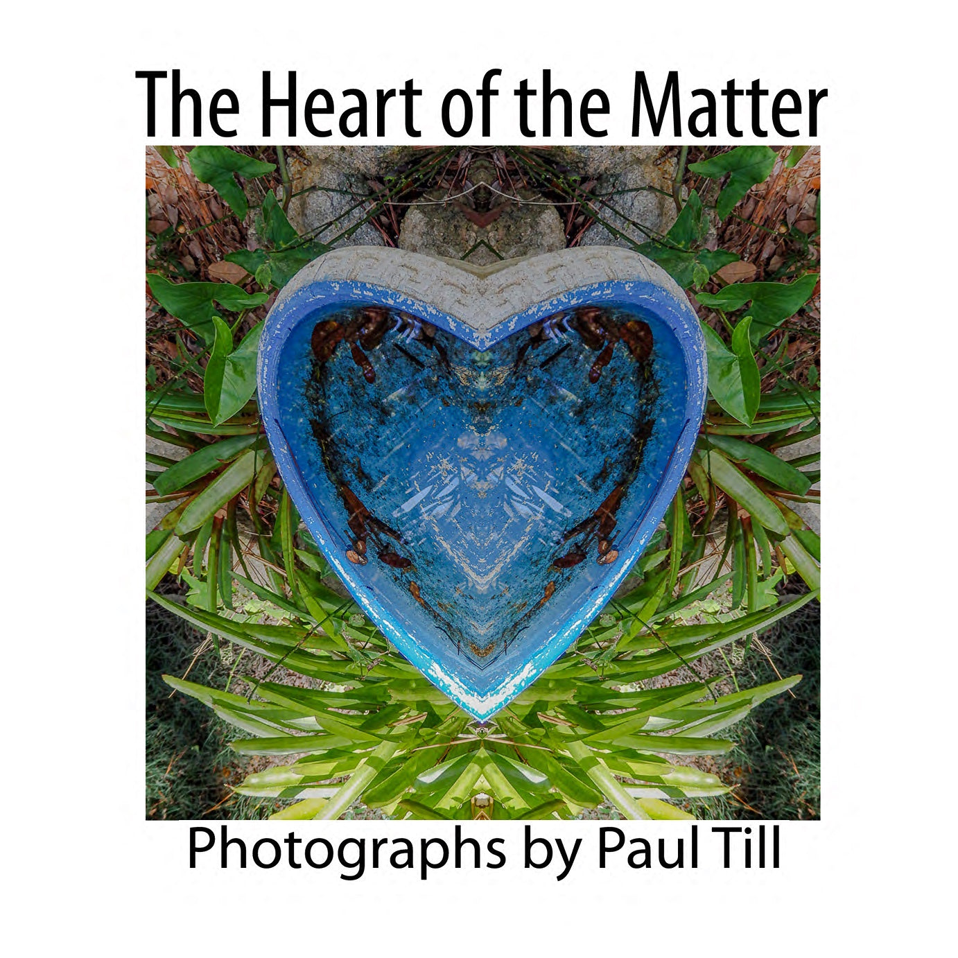 The Heart of the Matter, Hardcover